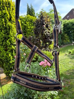 Halfter Eskadron, Eskadron, Desiree Adam, Halters, Oberteuringen