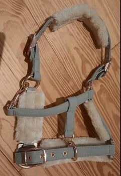 Halfter Eskadron P2, Franzi, Halters, Ebsdorfergrund