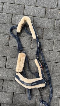 Eskadron Halfter in WB Eskadron