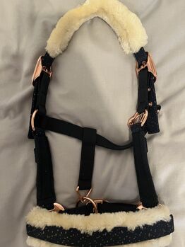 Halfter Felix Bühler, Felix Bühler , Hedy, Halters, Ulm