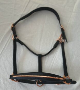 Halfter, Felix Bühler, sehr gut erhalten, Felix Bühler, A. Weigel, Halters, Bad Homburg