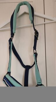 Halfter Felix-Bühler, dick gepolstert,  NEU, Felix Bühler, Steph, Halters, Köln