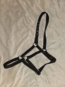 Halfter Fohlen, schwarz, neu, Nicole, Halters, Anderlingen