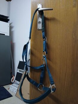 Halfter zu verkaufen, Show Master Halfter, Laura Auf der Maur, Halters, Rickenbach b. Schwyz