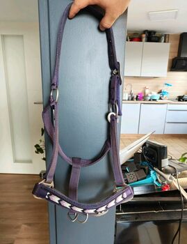 Halfter , Full, Krämer  Halfter , Kiecol, Halters, Schwanewede