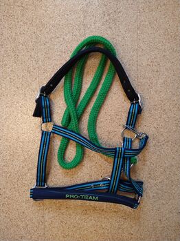 Halfter Full navy, türkis HKM Pro Team + grüner Strick mit Karabiner, HKM Pro Team, Carolin, Halters, Windischeschenbach