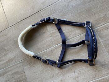 Halfter Glitzer samt, TT, Halters, Gerabronn