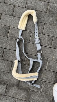 Halfter grau WB, Victoria , Halters, München