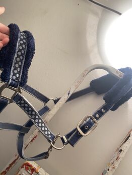 Halfter in CoB, Nadine , Halters, Bremen