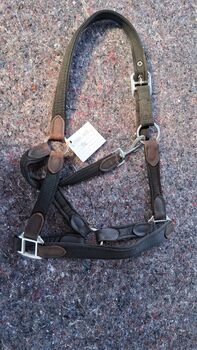 Halfter in COB, Melissa, Halters, Thedinghausen 