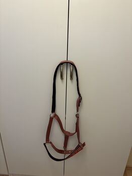 Halfter In Größe wbex, HvPolo, Angeliena Hennigs, Halters, Berumbur
