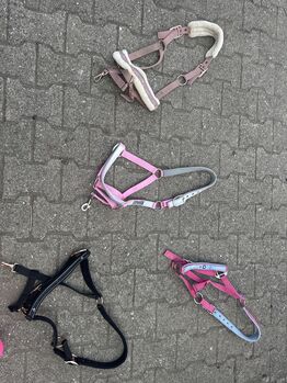 Halfter neuwertig Krämer