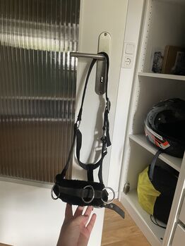 Halfter Kappzaum, HKM, Leonie Ertl, Lunging, Amberg
