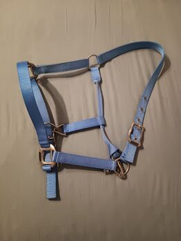 Halfter, hellblau Größe Warmblut, Elke, Halters, Mengerschied 