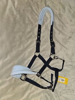 Halfter, mit Fleece, neu, blau, Goldhorse Allround, Nicole, Halters, Anderlingen