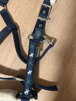Halfter Polo Sports WB