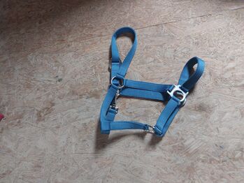 Halfter Pony blau Waldhausen