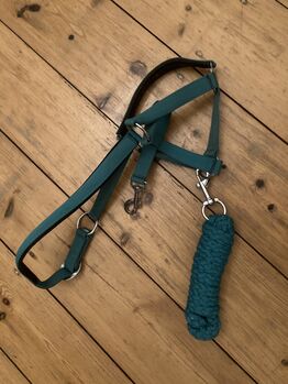 Halfter Pony, Daniela Wichert, Halters, Leer