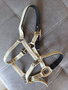 Halfter Pony