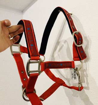 Halfter, Pony in rot mit Sternen, Dani, Halters, Schlagsdorf