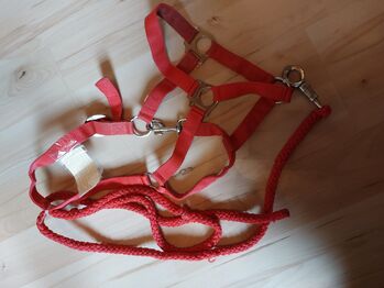 Halfter Pony Rot Set gebraucht, JF, Halters, Pressath