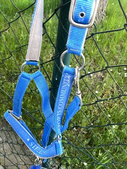 Halfter Set blau Steeds 
