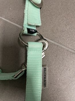 Halfter Showmaster Showmaster Halfter Supergünstig