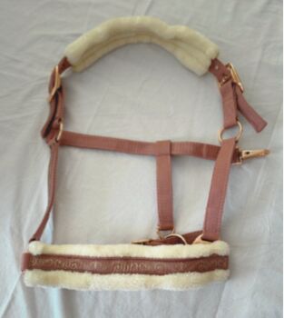 Halfter, Showmaster, Neu, Showmaster, A. Weigel, Halters, Bad Homburg