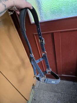 Halfter Gr. Vollblut COB, Ratsch, Halters, Wilkau-Haßlau