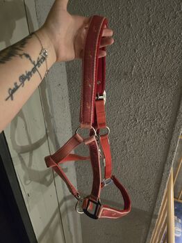 Halfter Gr. COB, Ratsch, Halters, Wilkau-Haßlau