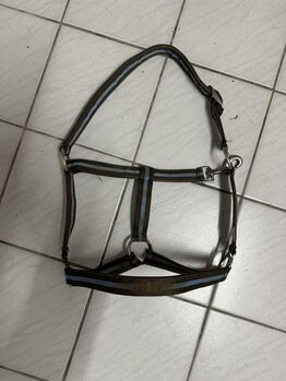 Halfter Gr. Pony, Celine Baum, Halters, Taunusstein 