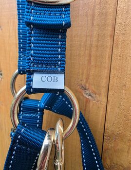 Halfter Stübben plus LK Controller Stübben  Halfter Control 