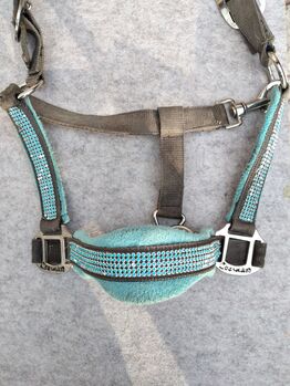 Halfter türkise, Loesdau, Celina, Halters, Peißenberg