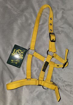 Halfter USG Fohlen neu, USG, Nicole, Halters, Anderlingen