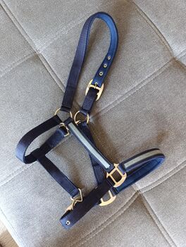 Halfter Full