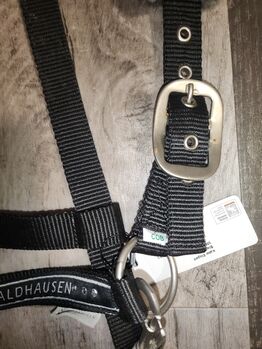 Halfter Waldhausen Waldhausen 