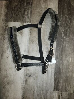 Halfter Waldhausen, Waldhausen , Lilly , Halters, Friedeburg 