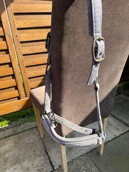Halfter Warmblut Eskadron und Felix Bühler 