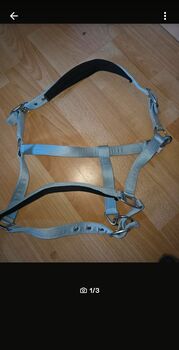 Halfter WB/Full neu, Anna, Kantary, Recklinghausen 