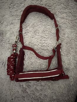 Halfter mit strick, QHP, Emma, Halters, Bergheim 