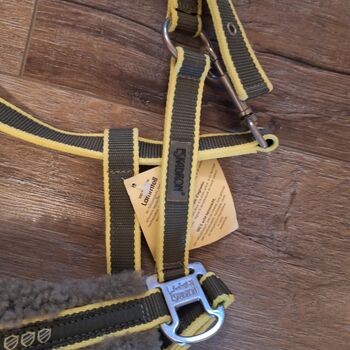 Eskadron Lammfellhalfter mit Führstrick WB Olive Eskadron 