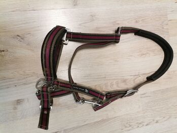 Halfter Cob Rosa grau, Florentine , Halters, Michelau 