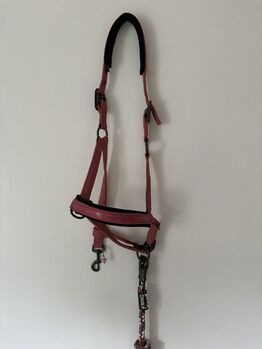 Halfter von Eskadron, Eskadron Classic Sports, Britta Knaack , Halters, Horstedt 