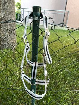 Halfter gestreift Shetty/Fohlen, Ramona, Halters, Gunzenhausen