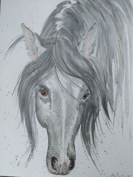 Pferd Grau Aquarelle handgemalt