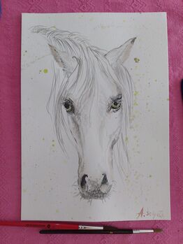 Pferd Aquarelle handgemalt, Ola, Horses For Sale, Dallikon