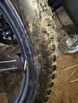 Hansmeier Kutsche, Hansmeier Leon, Tanja Albat-Glässing, Carriages, Altdorf