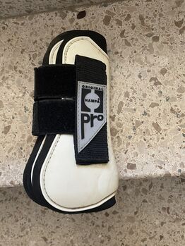 Hartschalengamaschen Gr. Pony, Celine Baum, Tendon Boots, Taunusstein 