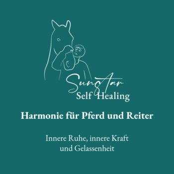 Harmonie für Pferd und Reiter, Sybille Baier (Sunstar-Self-Healing), Therapy & Treatment, Herzberg am Harz