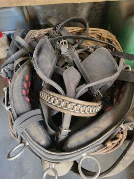 Saumzeug, Zuggeschirr, Sattel und DIversa, Roman, Horse Harness, Degen